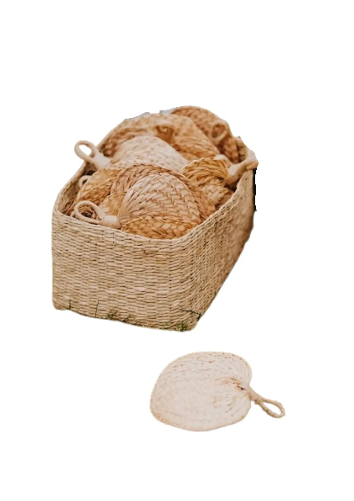 Wachlarzyki rattanowe - zdjęcie 3