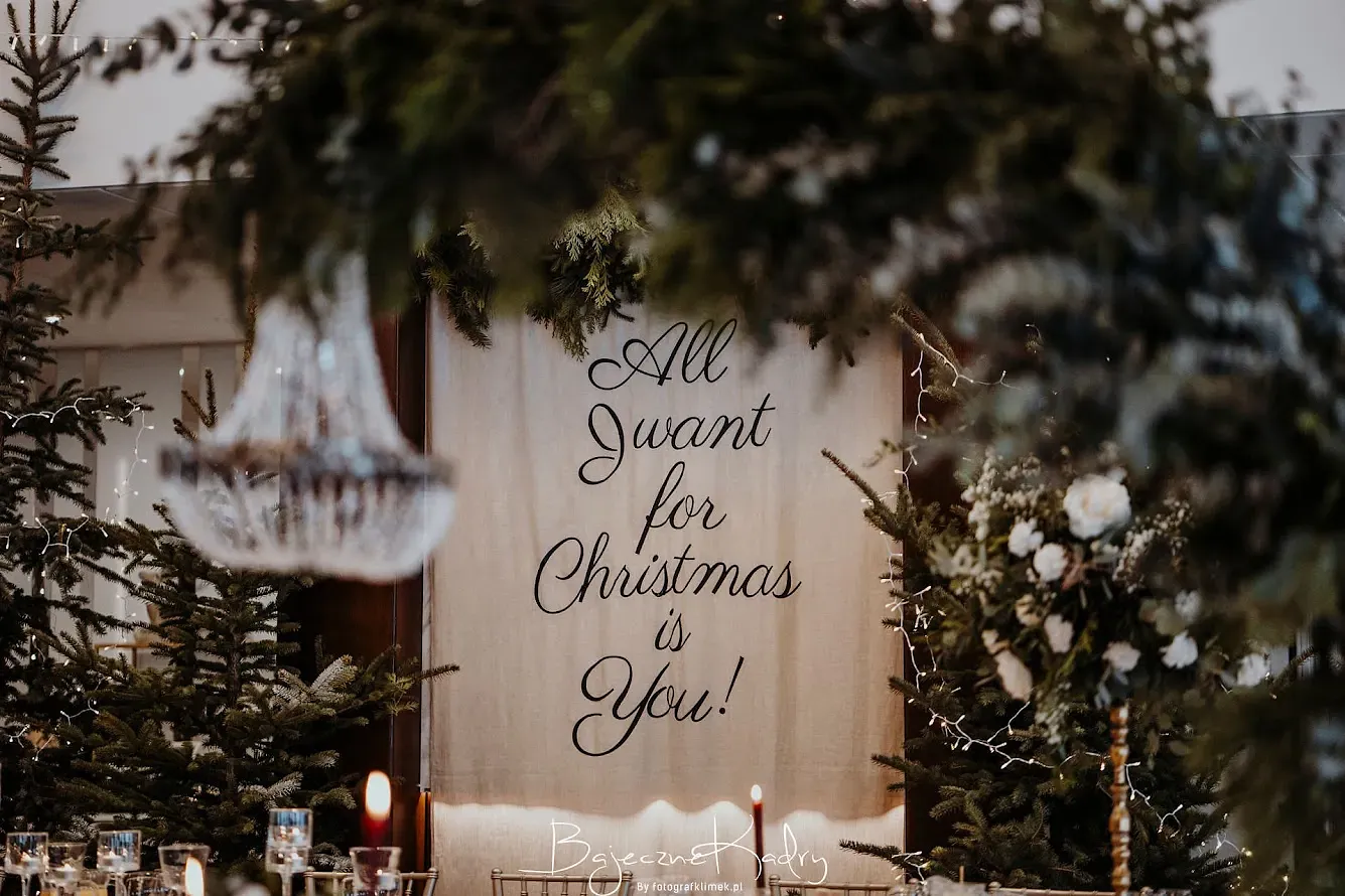 Tkanina z napisem ALL I WANT FOR CHRISTMAS IS YOU - zdjęcie 3